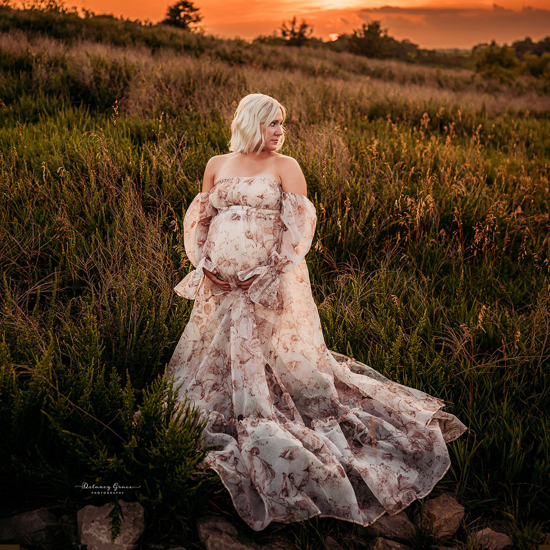 Rent---Juliet Gown