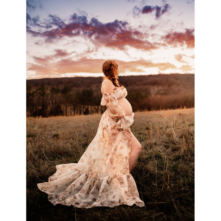 Rent---Juliet Gown